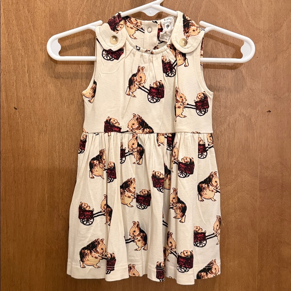 NWT Kate Quinn Button Tab Dress Guinea Pig